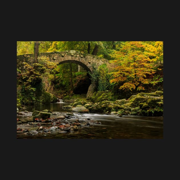 Foleys Bridge, Tollymore Forest Park by Aidymcg