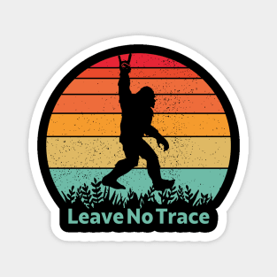 Leave No Trace Magnet