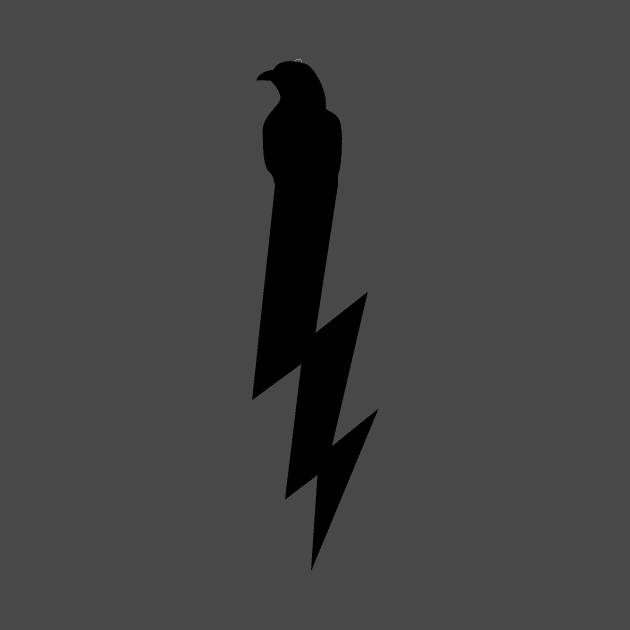 Raven Lightening by Harley Warren