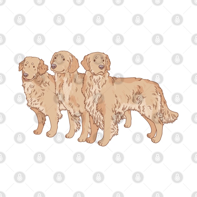 Golden Retriever Trio by Csieben