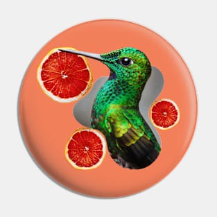 green hummingbird with grapefruit circular slices Pin