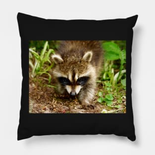 Raccoon face, Angry bear Pillow