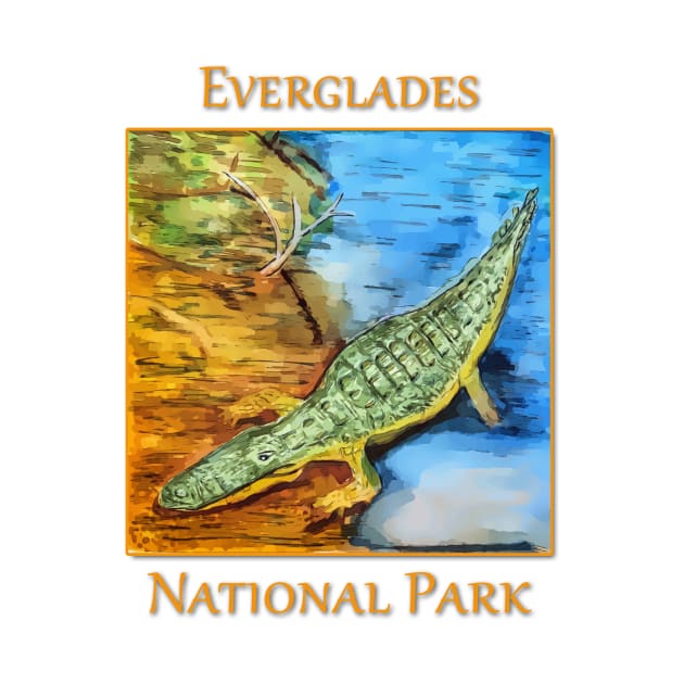 Everglades National Park, Crocodile by WelshDesigns