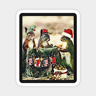 Christmas Squirrels celebrate the season! Magnet