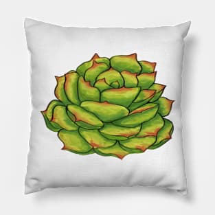 Succulent Pillow