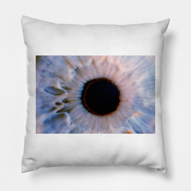 Macrophotograph of the human eye (P420/0333) Pillow by SciencePhoto