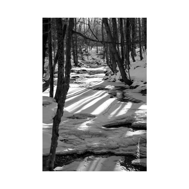 Snowshoeing Gifford Woods by srwdesign