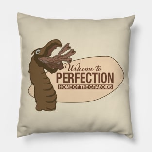 Perfection Pillow