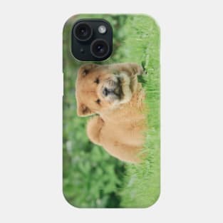 Chow chow  puppy Phone Case