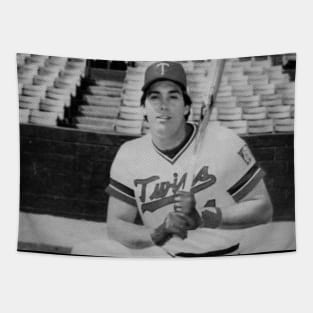 Kent Hrbek Tapestry