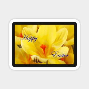 Crocus  'Gipsy Girl' with Happy Easter message Magnet