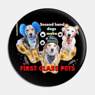 First Class Pets Pin