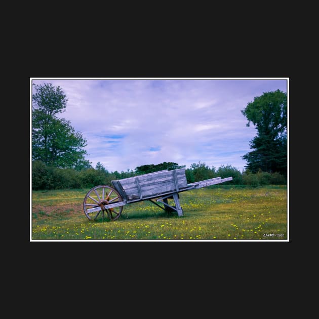 Old Wheelbarrow by kenmo