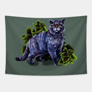 a British breed cat with a monstera Tapestry