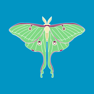 PATIENT LUNA MOTH BUTTERFLY T-Shirt