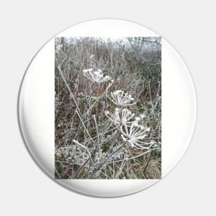 Frosted cow parsley Pin