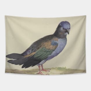 A Blue Dove with Green and Black Wings by Herman Henstenburgh Tapestry