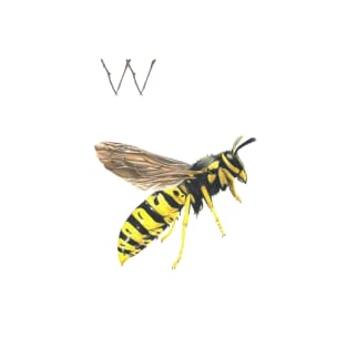 W for wasp alphabet illustration, pencil illustration from my alphabet series T-Shirt