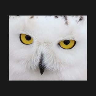 SNOWY OWL T-Shirt