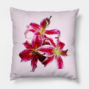 Three Stargazer Lilies Pillow