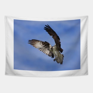 Osprey Wingspan Tapestry