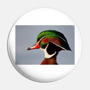 Colours of a Wood Duck Pin