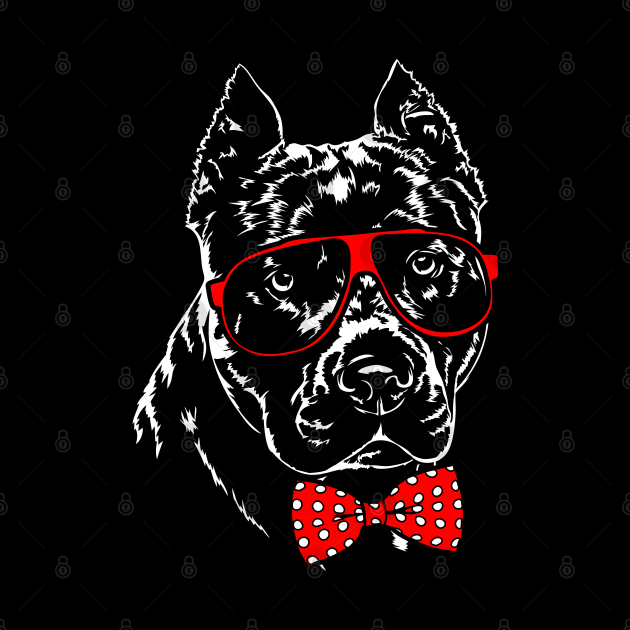 Cute American Pitbull Terrier dog Portrait by wilsigns