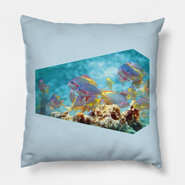 Anthias | Colorful bustle in coral reef | Pillow by Ute-Niemann