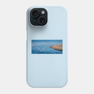 American White Pelican Migration Phone Case