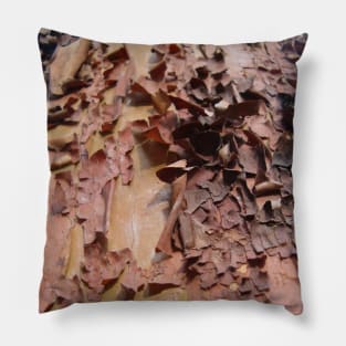 Peeling Bark Pillow