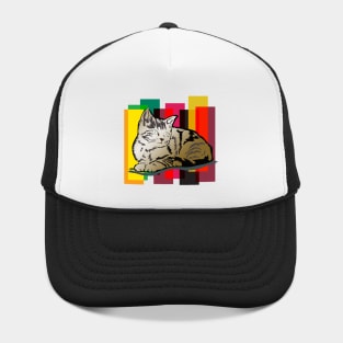 cat Hat