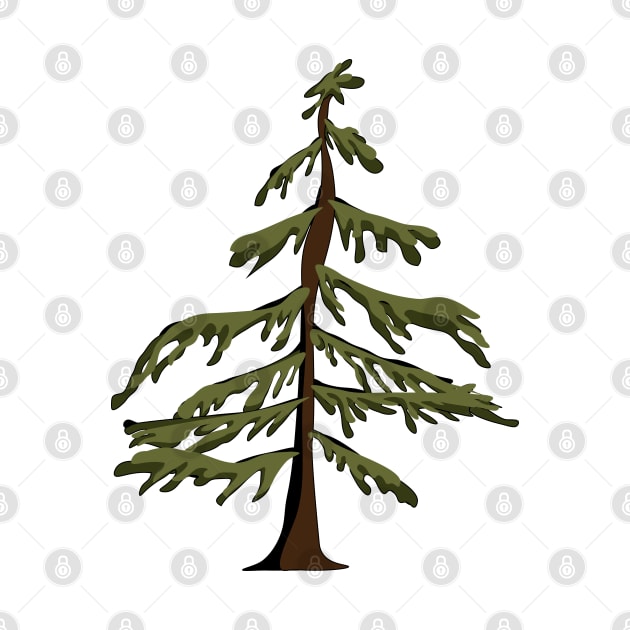 western hemlock tree by Pico Originals