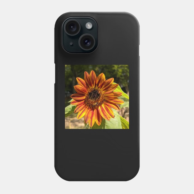 Orange Sunflower with Bee Photographic Image Phone Case by AustaArt