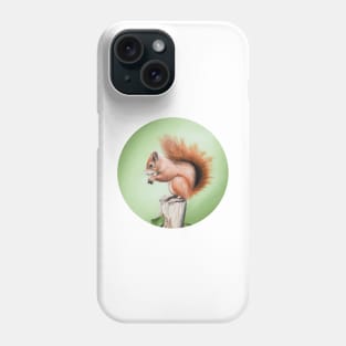 Red Squirrel Painting Phone Case