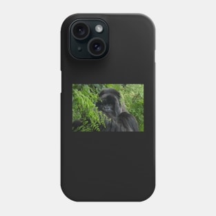 Hirwa, Silver Back Male Mountain Gorilla Phone Case