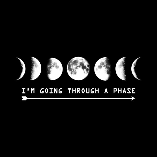 Im Going Through A Phase Moon Astronomy Teacher Science by danielfarisaj