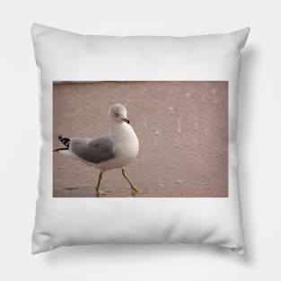 Walking Tall Pillow