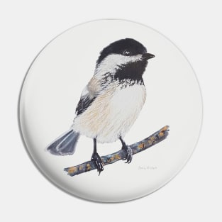 Chickadee Drawing 2 Pin