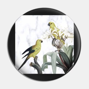 Birds, Yellow Birds Graphic Design on  White Marble Designed Background Garden Home Decor & Gifts Pin