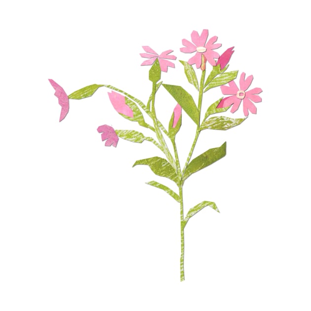 Campion sprig by Babban Gaelg