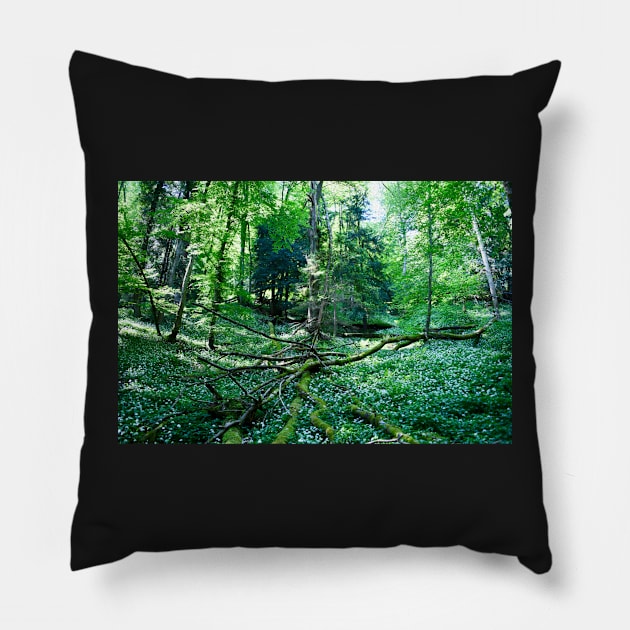 Urwald Schweiz / Swiss Artwork Photography Pillow by RaphaelWolf