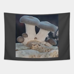 New Oyster Mushrooms #2 Tapestry