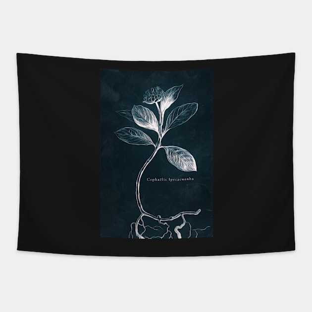 Cyanotype - Cephaelis Ipecacuanha - C Tapestry by PixelHunter