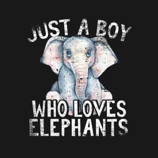 Just A Boy Who Loves Elephants T-Shirt