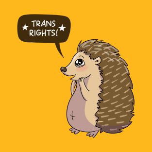 Hedgehog says Trans Rights T-Shirt