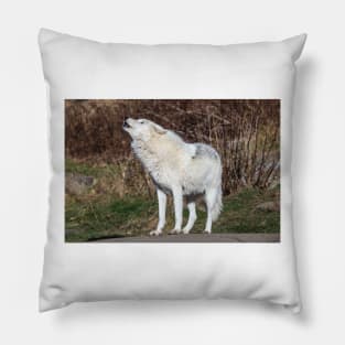 An Arctic Wolf Howls during the day Pillow