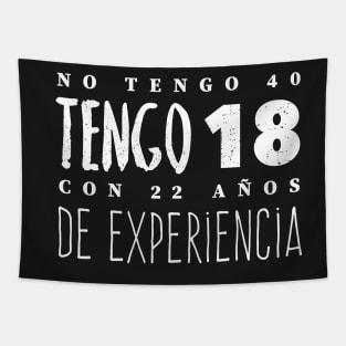 No Tengo 40, Tengo 18 con 22 años de experiencia - Not 40, I'm 18 with 22 years of experience Tapestry