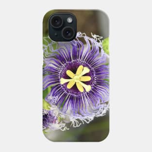 Passionsblume / Swiss Artwork Photography Phone Case