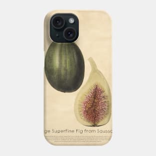 Large Superfine Fig from Saussaye With Details Phone Case