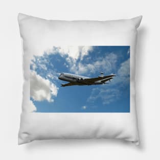 Blue Sky Nimrod Pillow